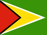 Vlajka Guyana